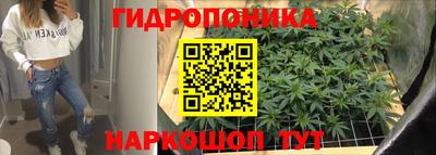 дурь Тара