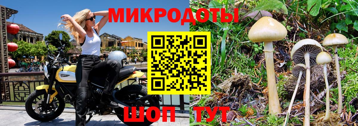 Галлюциногенные грибы Psilocybe  Вход с VPN  Краснотурьинск 
