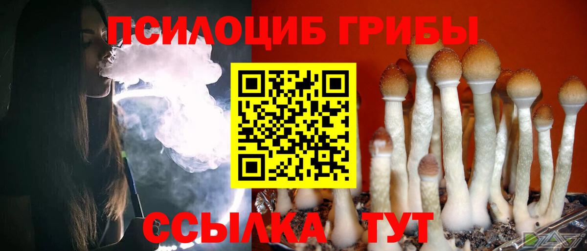 Псилоцибиновые грибы MAGIC MUSHROOMS Краснотурьинск